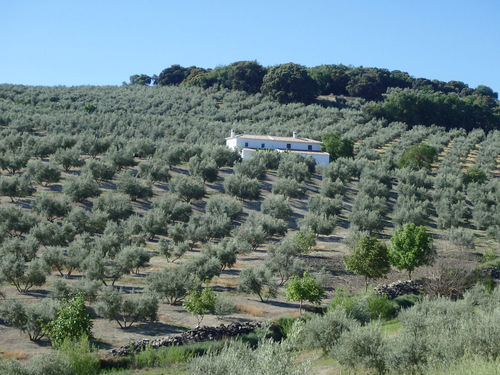 On the road to Montefr&iacute;o.